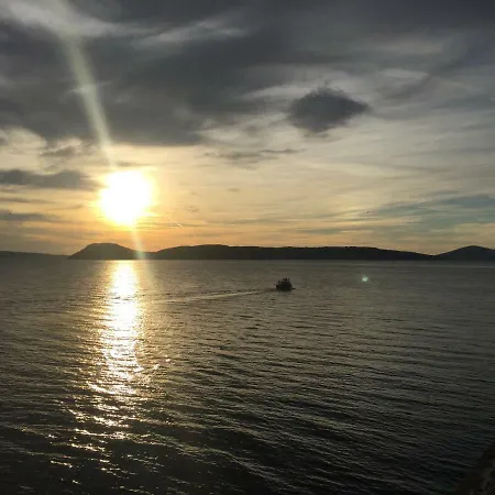 Alba *